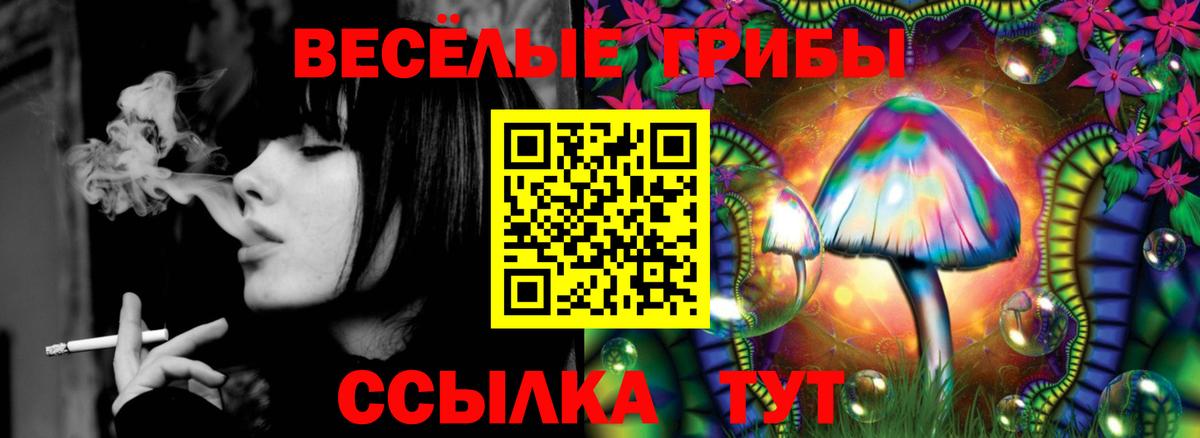Галлюциногенные грибы прущие грибы  Вход с VPN  Медногорск 